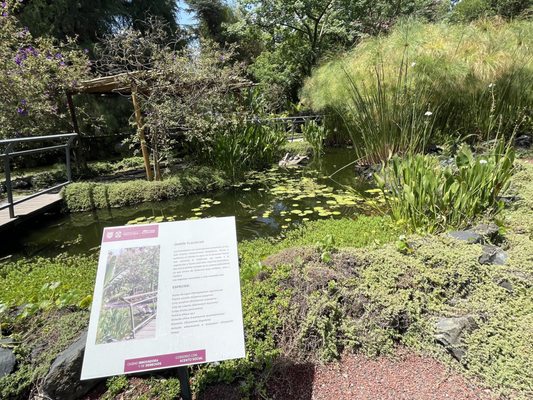 Jardín Botánico del Bosque de Chapultepec by null