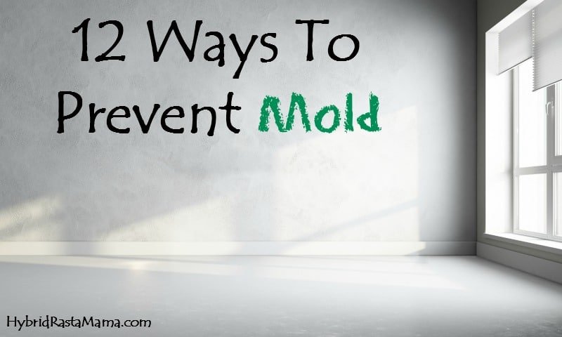 Free Mold Inspection - mold inspector in Canton, GA
