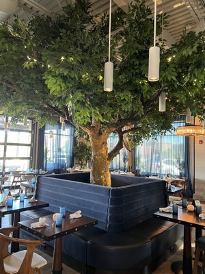 Sea Smoke Waterfront Grill by null