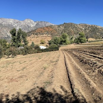 Riley's Farm - Fruits & Veggies Near Me - Oak Glen, California