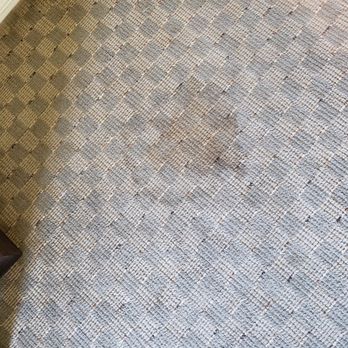 Acqua Hotel - One of several large stains on carpet in Jr Suite. - Hotels Near Me - Mill Valley, California Acqua Hotel - One of several large stains on carpet in Jr Suite. - Hotels Near Me - Mill Valley, California
