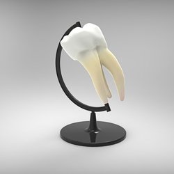 Nuva Dental - Dental art