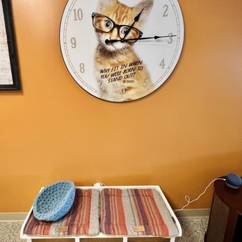 Smitten Kitten Cat Cafe and Coffee Shop - When you enter the sanctuary, you're on cat time. - Coffee & Tea Near Me - Fishers, Indiana Smitten Kitten Cat Cafe and Coffee Shop - When you enter the sanctuary, you're on cat time. - Coffee & Tea Near Me - Fishers, Indiana