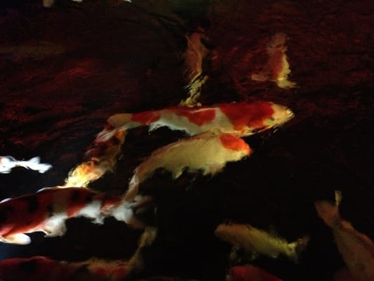 The Blind Beggar by null