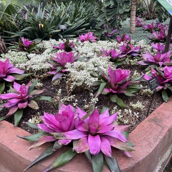 Garfield Park Conservatory - Parks Near Me - Chicago, Illinois