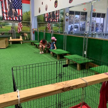 Delta Force K-9 - Mia, Ella and Hero. - Pet Training Near Me