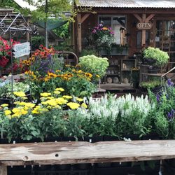 Ali's Organics and Garden Supply