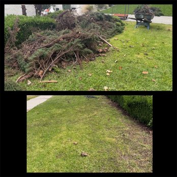Lax Junk Haul - Greenery Pile Removal Los Angeles - Junk Removal & Hauling Near Me Lax Junk Haul - Greenery Pile Removal Los Angeles - Junk Removal & Hauling Near Me