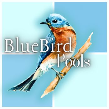 BlueBird Pool Services - Pool Cleaners Near Me - Norco, California BlueBird Pool Services - Pool Cleaners Near Me - Norco, California