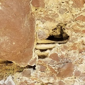 Grimes Point Archeological Site - Hiking Near Me - Fallon, Nevada