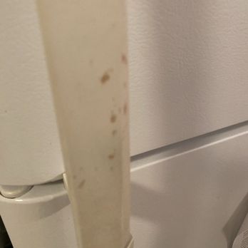 Holly's Professional Cleaning - Did not wipe off surfaces - Home Cleaning Near Me - Brewer, Maine