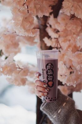 Sweet Cats Cafe by null