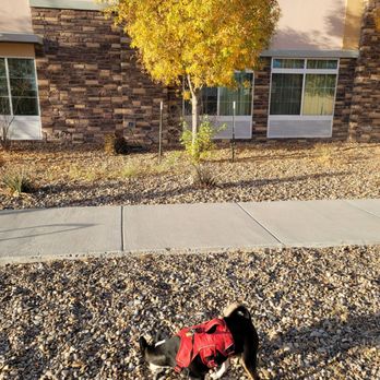 La Quinta by Wyndham Monahans - Doggy area - Hotels Near Me - Monahans, Texas