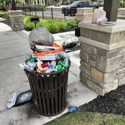 Balmoral Lagoon - More trash