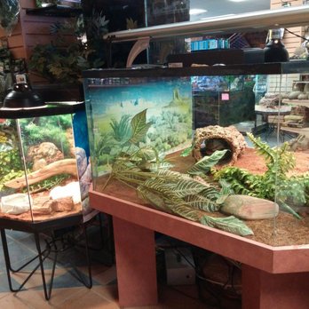 Nature Pet Centre - Pet Stores Near Me - Montreal, Quebec Nature Pet Centre - Pet Stores Near Me - Montreal, Quebec