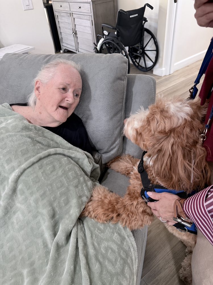 Cinnamon Garden Home  Logo