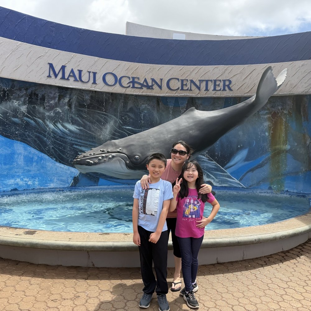 Maui Ocean Center - July 9, 2026 - Aquariums Near Me - Wailuku, Hawaii Maui Ocean Center - July 9, 2026 - Aquariums Near Me - Wailuku, Hawaii