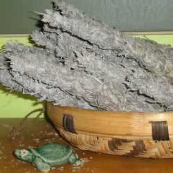 Gaia Rising - Sage ... for smudging