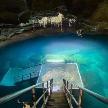 Devil's Den Prehistoric Spring - Clear blue water. - Scuba Diving Near Me - Williston, Florida Devil's Den Prehistoric Spring - Clear blue water. - Scuba Diving Near Me - Williston, Florida