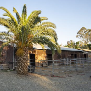 Little Reata Stables - Horse Stables - Horse Boarding Near Me - Davis, California Little Reata Stables - Horse Stables - Horse Boarding Near Me - Davis, California
