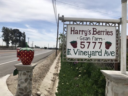 Harry's Berries by null