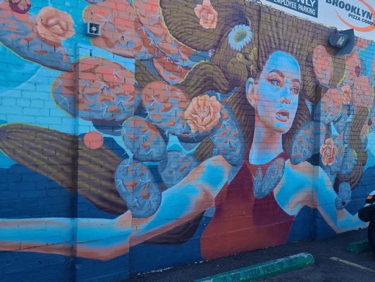 Tucson Bike Tours by null