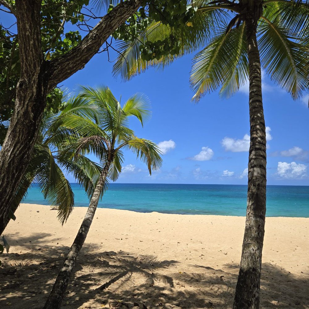 THE BEST 10 BEACHES near SALINAS, PUERTO RICO 00751 - Updated 2026 - Hours  - Yelp, image size:1000x1000