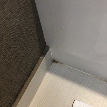 SpringHill Suites by Marriott Dayton Beavercreek - Mold in bathroom - Hotels Near Me - Beavercreek, Ohio SpringHill Suites by Marriott Dayton Beavercreek - Mold in bathroom - Hotels Near Me - Beavercreek, Ohio