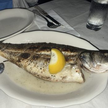 Elias Corner - Branzino - Mediterranean Near Me - Astoria, New York