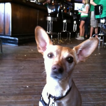 Jake's Pub - Sally enjoying time at jake's - Pubs Near Me - Chicago, Illinois