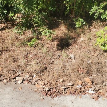 Green Leaf Landscaping - Backyard before - Tree Services Near Me Green Leaf Landscaping - Backyard before - Tree Services Near Me