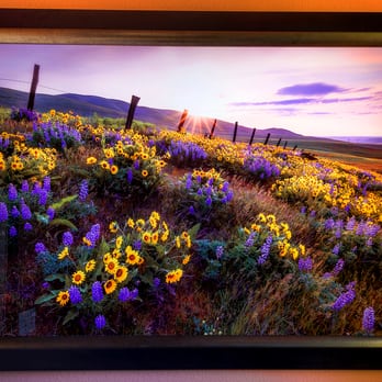 Kb Custom Framing & Gallery - 24x36 inch metal print framed in black with a bronze lip. - Art Galleries Near Me - Portland, Oregon Kb Custom Framing & Gallery - 24x36 inch metal print framed in black with a bronze lip. - Art Galleries Near Me - Portland, Oregon