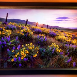 Kb Custom Framing & Gallery - 24x36 inch metal print framed in black with a bronze lip.