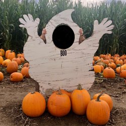 Mosby's Pumpkin Patch - They had wooden ghost and pumpkin standees for sticking your head through and taking photos, at both short and tall heights.