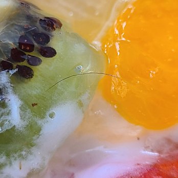 Papagalino Bakery - Hair in my tart - Bakeries Near Me - Niles, Illinois Papagalino Bakery - Hair in my tart - Bakeries Near Me - Niles, Illinois