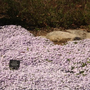 Cheekwood - Botanical Gardens Near Me - Nashville, Tennessee