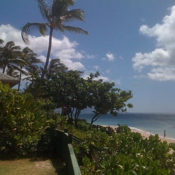 Laniakea Beach - 2010 - Beaches Near Me - Haleiwa, Hawaii Laniakea Beach - 2010 - Beaches Near Me - Haleiwa, Hawaii