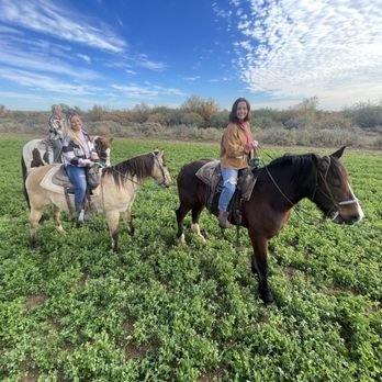 KOLI Equestrian Center - Venues & Event Spaces Near Me - Phoenix, Arizona KOLI Equestrian Center - Venues & Event Spaces Near Me - Phoenix, Arizona