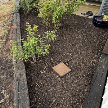 Native turf - Lawn Services Near Me Native turf - Lawn Services Near Me