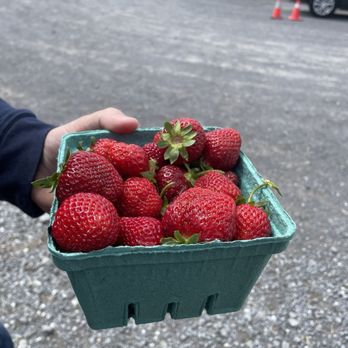Old McDonald's Farm - Fresh Strawberries - Fruits & Veggies Near Me - Sackets Harbor, New York Old McDonald's Farm - Fresh Strawberries - Fruits & Veggies Near Me - Sackets Harbor, New York