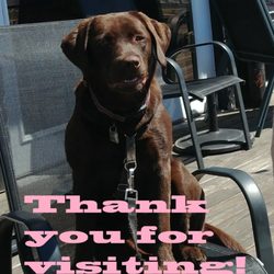 Barry School of Real Estate - JJ is thanking you for going to the Barry School.