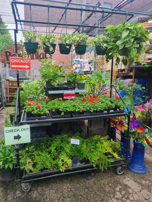 Adams & Son & Daughter Gardens by null