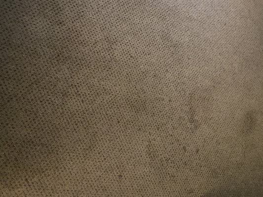 Alexander's Lodge At Mt Rainier by null