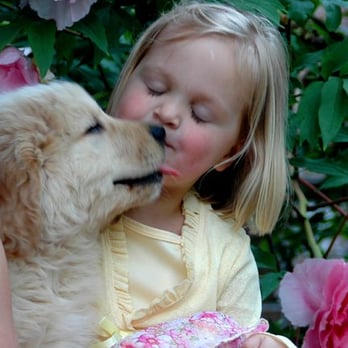 Gracious Kennels - Puppy Kisses - Pet Boarding Near Me - Snohomish, Washington Gracious Kennels - Puppy Kisses - Pet Boarding Near Me - Snohomish, Washington