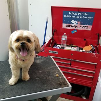 Tasha's Pet Spa - Pet Groomers Near Me - Paso Robles, California Tasha's Pet Spa - Pet Groomers Near Me - Paso Robles, California