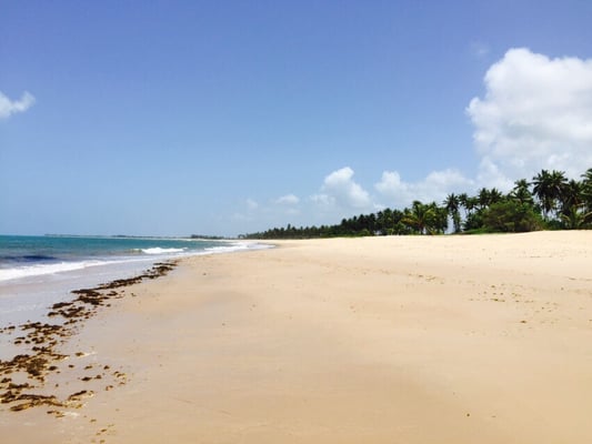 Praia do Forte by null