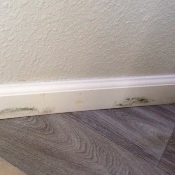 Andover Park Apartments - Mold issue I reported but received an email back denying it's presence. It's still there. - Apartments Near Me - Beaverton, Oregon