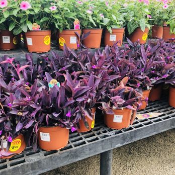 Houston Garden Centers - Nurseries & Gardening Near Me - Conroe, Texas Houston Garden Centers - Nurseries & Gardening Near Me - Conroe, Texas