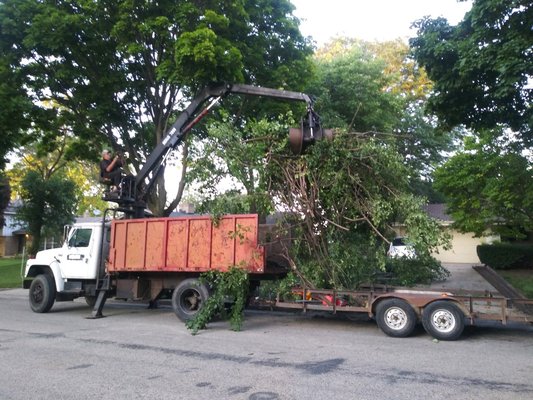 tree equipment - This is really several projects and our price is better than most others and we are fully insured and respectful of your property unlike so many others out there tree equipment - This is really several projects and our price is better than most others and we are fully insured and respectful of your property unlike so many others out there