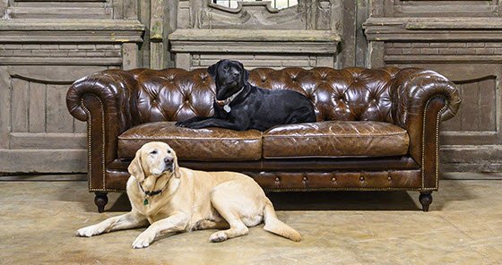 Round Top Ranch Antiques – European Antique Furniture by null